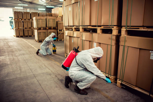 Best Emergency Pest Control  in Plainedge, NY