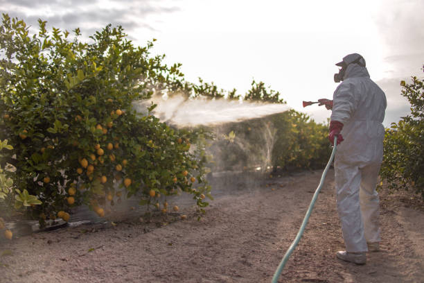 Best Best Pest Control Companies  in Plainedge, NY