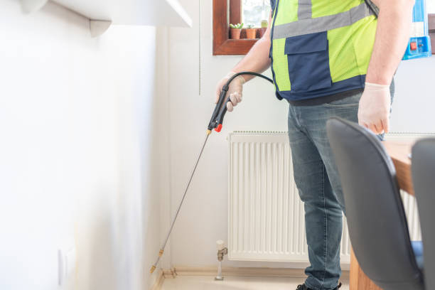 Best Pest Prevention Services  in Plainedge, NY